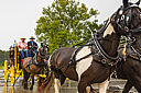 stagecoach_001.jpg