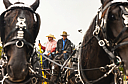 stagecoach_012.jpg